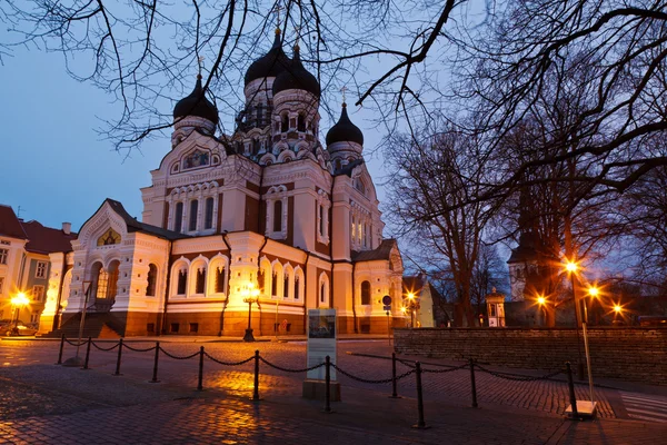 밤에, 에스토니아 탈린에서 알렉산더 Nevsky 교회 — 스톡 사진