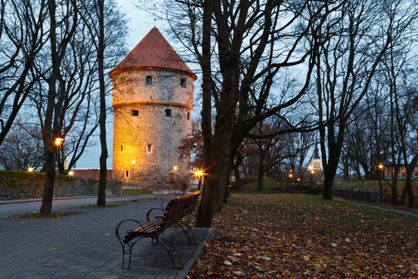 Illuminated Tower in the Old Town of Tallinn , Estonia — Stock Photo, Image