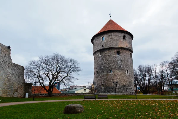 Muralla de la ciudad y torres de Tallin, Estonia — Foto de Stock