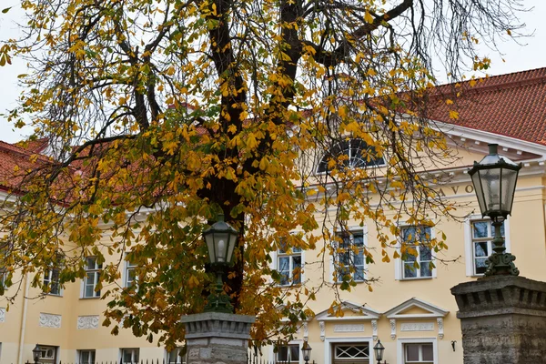 Edificio giallo nel centro storico di Tallinn, Estonia — Foto Stock