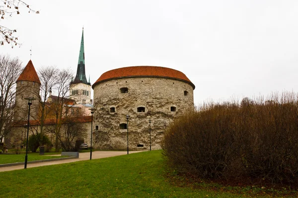Městské zdi a věže tuku margarita ve starém tallinn, Estonsko — Stock fotografie