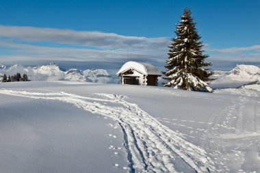 Fransız alps küçük kulübe ve köknar ağacı dağın tepesinde