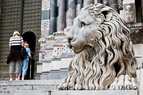 Lejon vaktar katedralen saint lawrence (lorenzo) i Genua, det — Stockfoto
