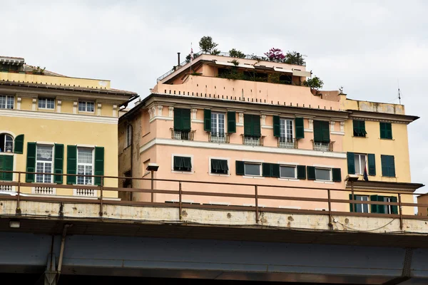 Žlutý dům se stromy na střeše v Janově, Itálie — Stock fotografie