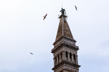 Rovinj, Hırvatistan saint euphemia's Kilisesi'nin çan kulesi