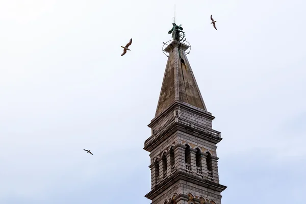 罗维尼，克罗地亚的圣尤菲米娅教堂的钟塔 — 图库照片