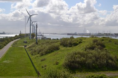 Hollanda, Rozenburg 'daki buruna..
