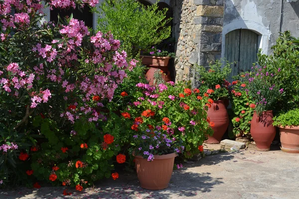 Plant potten met bloemen in Griekenland. — Stockfoto