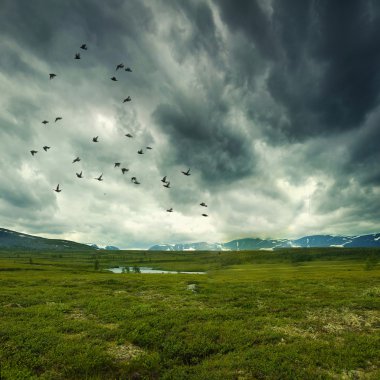 Wild nature with storm clouds clipart