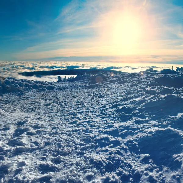 Kış Doğa — Stok fotoğraf