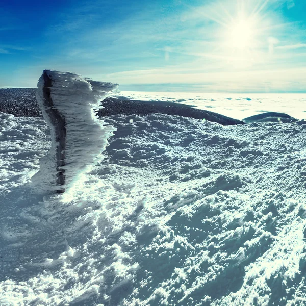 Zimní příroda — Stock fotografie