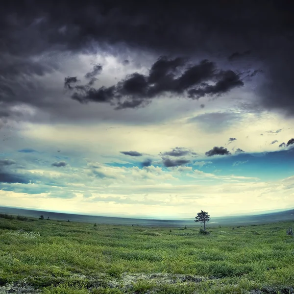 Nature sauvage avec nuages orageux — Photo