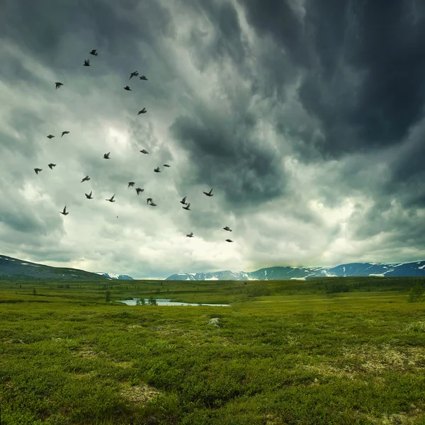 Natura selvaggia con nuvole di tempesta — Foto Stock
