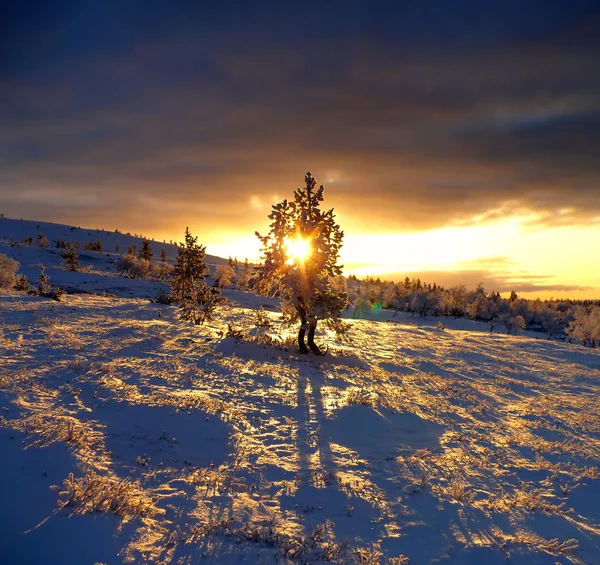 Laponia — Zdjęcie stockowe