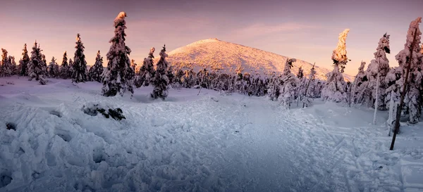 Téli hegyek — Stock Fotó