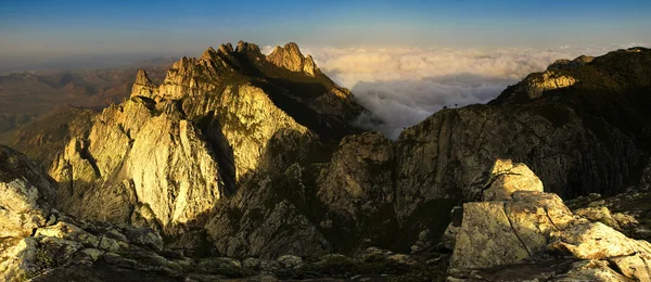 Socotra — Stockfoto