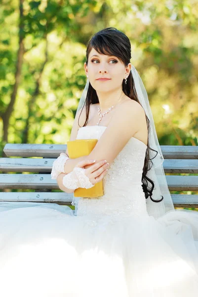 拿着一本书的梦想新娘 — 图库照片