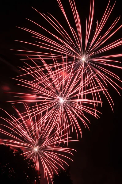 Colorfull Fireworks