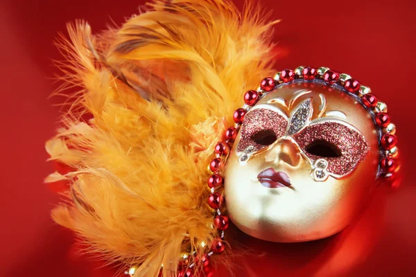 Máscara de carnaval adornada — Foto de Stock