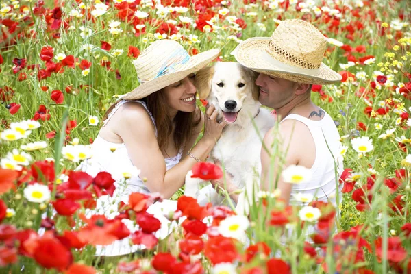 Joyeux jeune couple jouant avec le chien sur une prairie — Photo