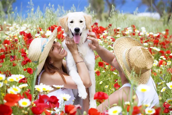 Jovem casal feliz brincando com o cão em um prado — Fotografia de Stock