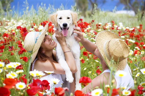 Happy young couple playing with dog on a meadow Stock Picture
