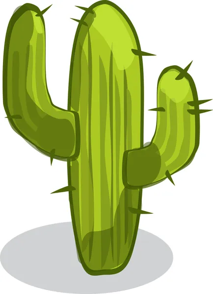 Cactus — Stock Vector