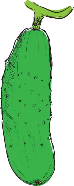 Cucumber sketch vector illustration — Stock Vector