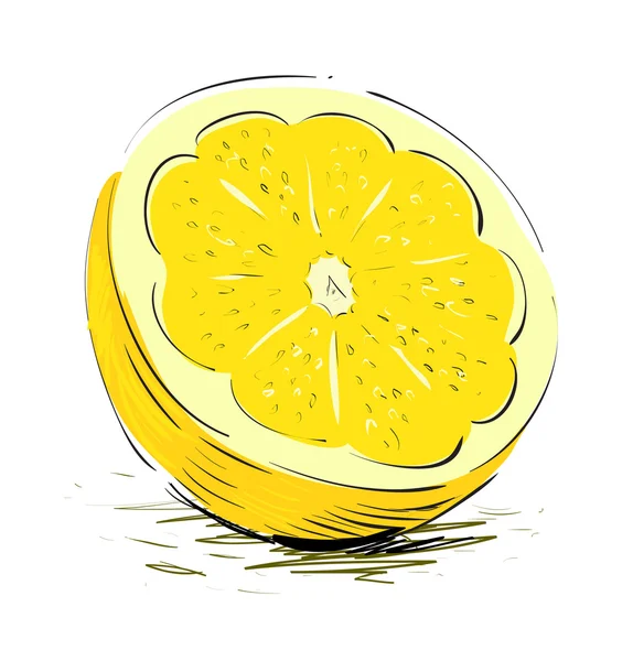 Lemon sliced cartoon sketch vector illustration — Stock Vector