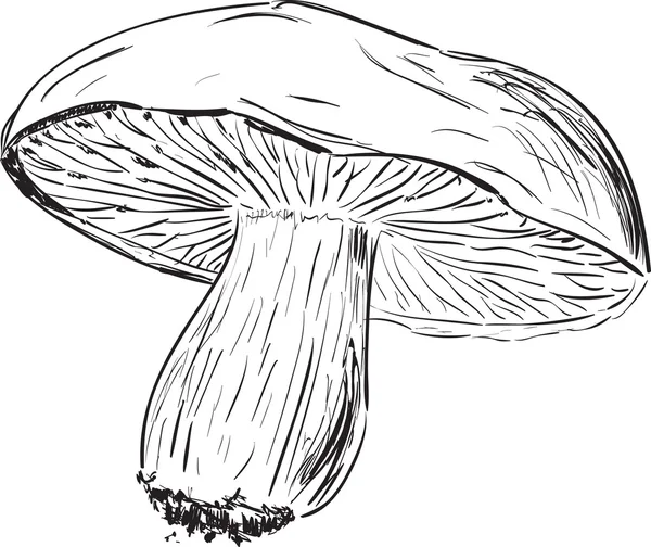 Mashroom croquis illustration vectorielle de dessin animé — Image vectorielle