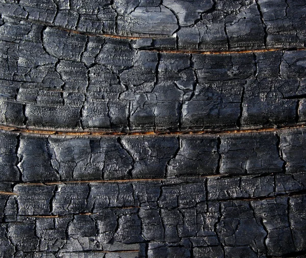 Сжигаемая древесина — стоковое фото