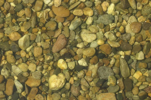 stock image Stones in a mountain lake