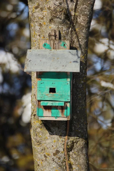 Старое гнездо для птиц — стоковое фото