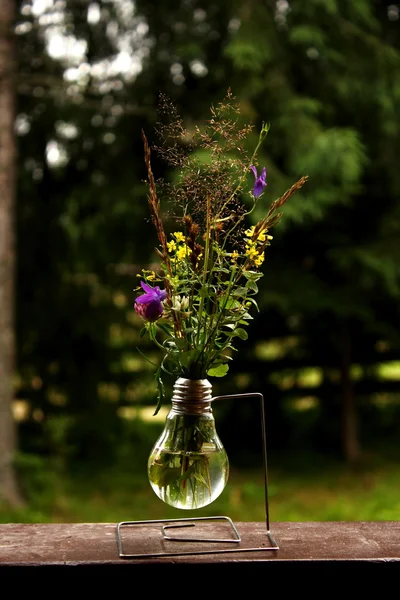 Weird vase with mountain flowers — Stock Photo, Image