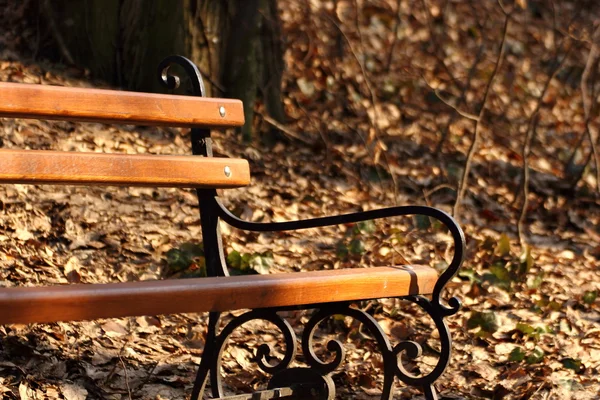 Lonely bench in the park — Stock Photo, Image