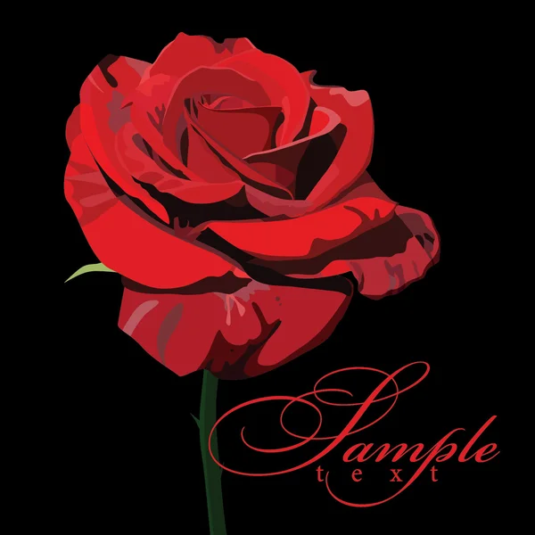 Красивая красная роза, векторная иллюстрация — стоковый вектор