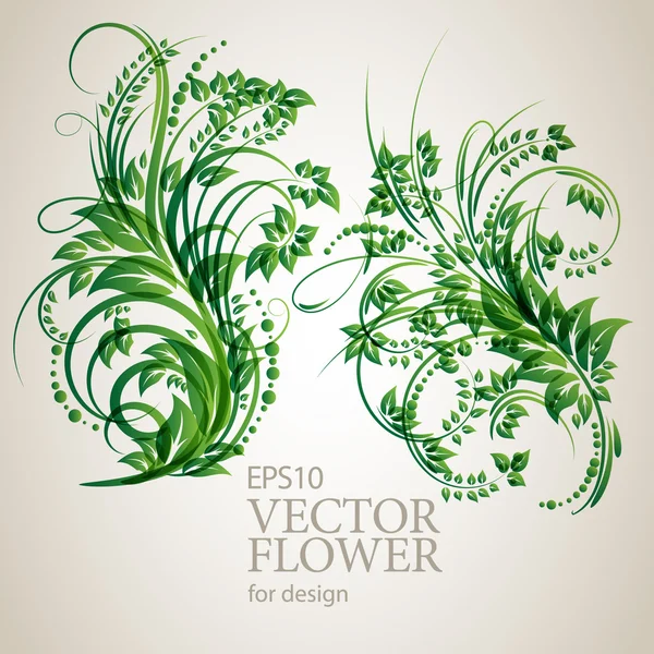 Vektor blommig element för ditt projekt — Stock vektor