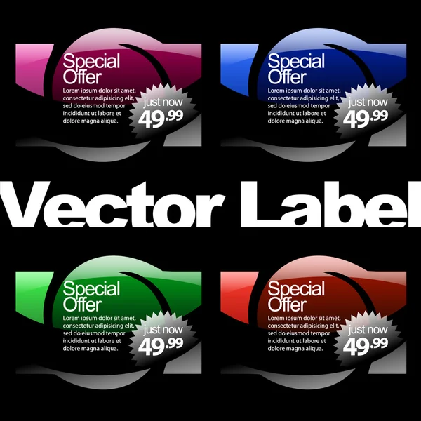 Multicolored glossy label — Stock Vector