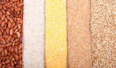 Different grits in a linesc=