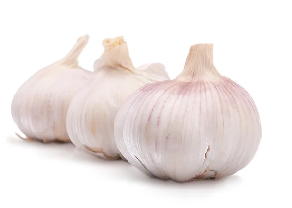 stock image Garlic isolated on a white