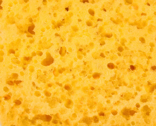 stock image Nice sponge yellow texture background