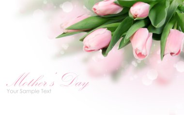 Tulip flower isolated on white clipart