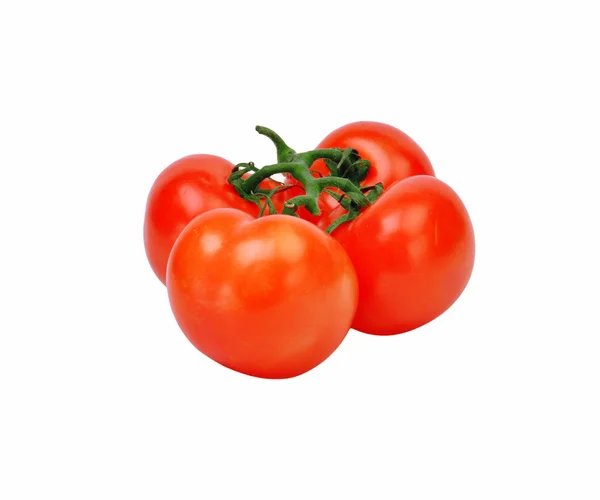 Čtyři rajčata izolovaných na bílém — Stock fotografie