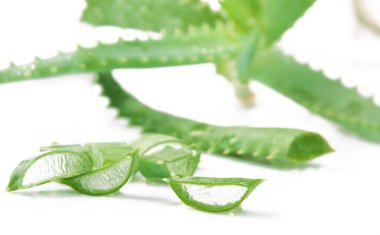 aloe vera üzerinde beyaz izole