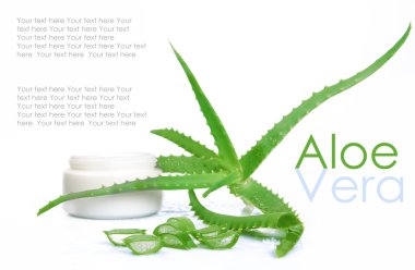 aloe vera üzerinde beyaz izole