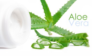 aloe vera üzerinde beyaz izole