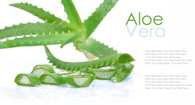 aloe vera üzerinde beyaz izole