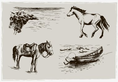 Horse and beach clipart