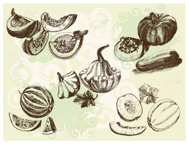 Melon crops clipart