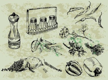 Seasonings and spices clipart